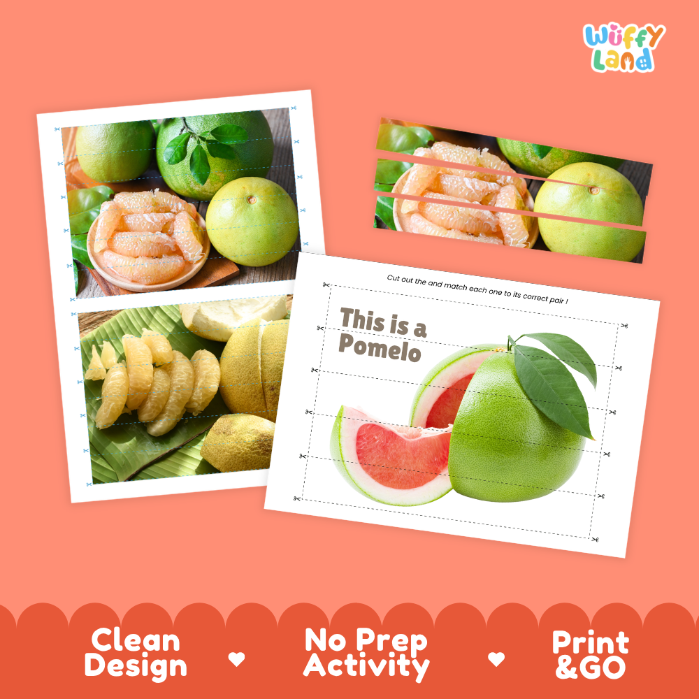 Clean design no prep print and go pomelo cut and match activity printable PDF pack