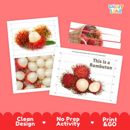Clean design no prep print and go rambutan cut and match activity printable PDF pack