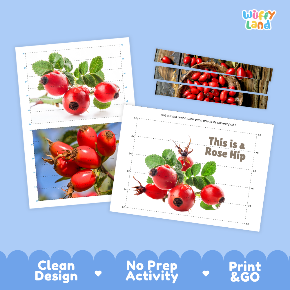 Clean design no prep print and go rose hip cut and match activity printable PDF pack