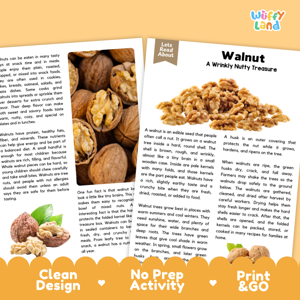 Clean design no prep print and go reading comprehension worksheets layout ready for classroom and homeschool use