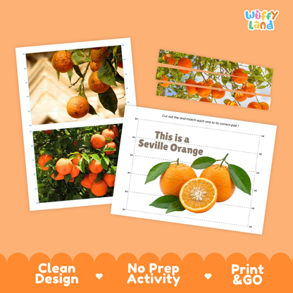 Clean design no prep print and go Seville orange cut and match activity printable PDF pack
