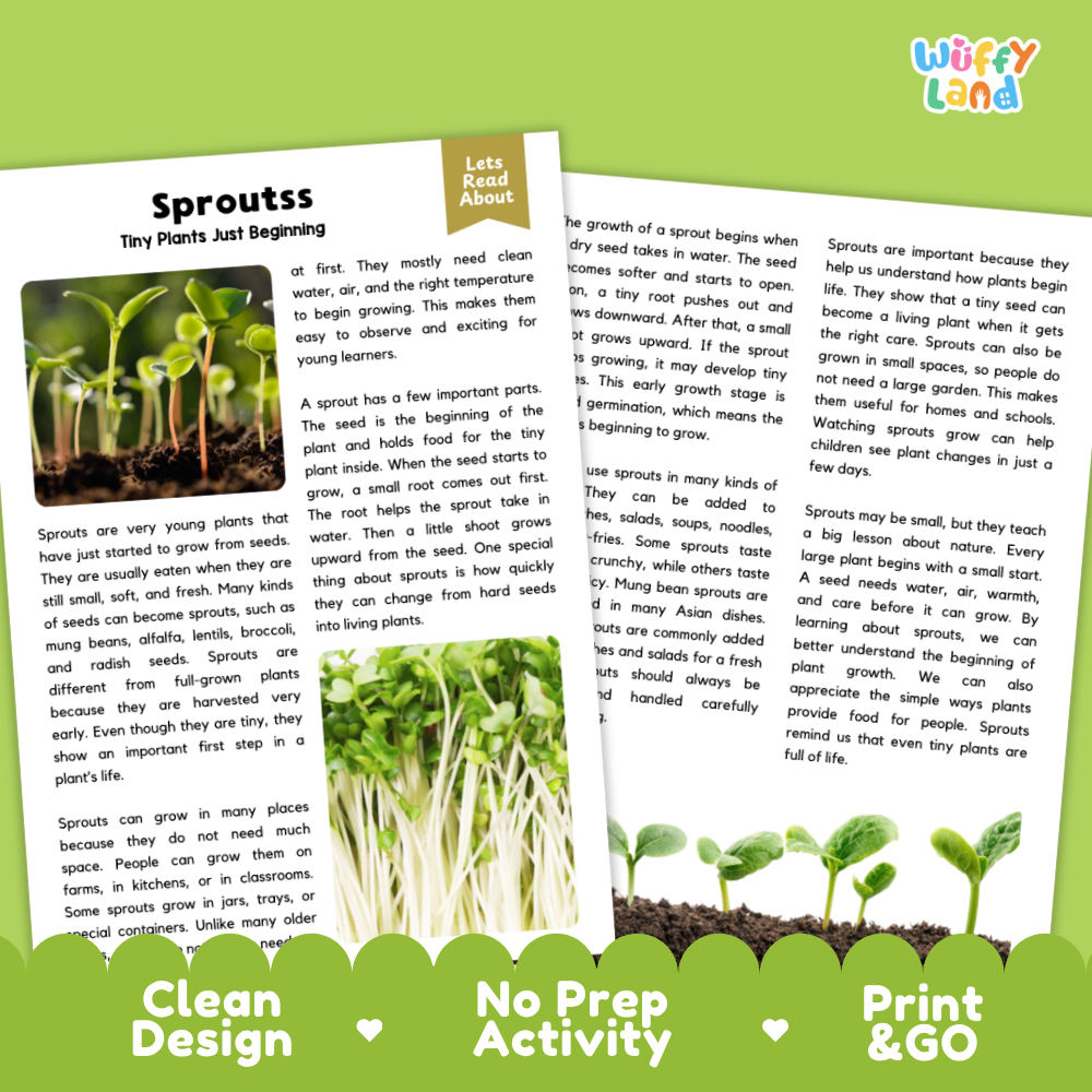 Clean design no prep print and go sprouts plant reading passages printable PDF pack