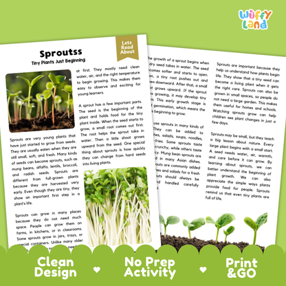 Clean design no prep print and go sprouts plant reading passages printable PDF pack