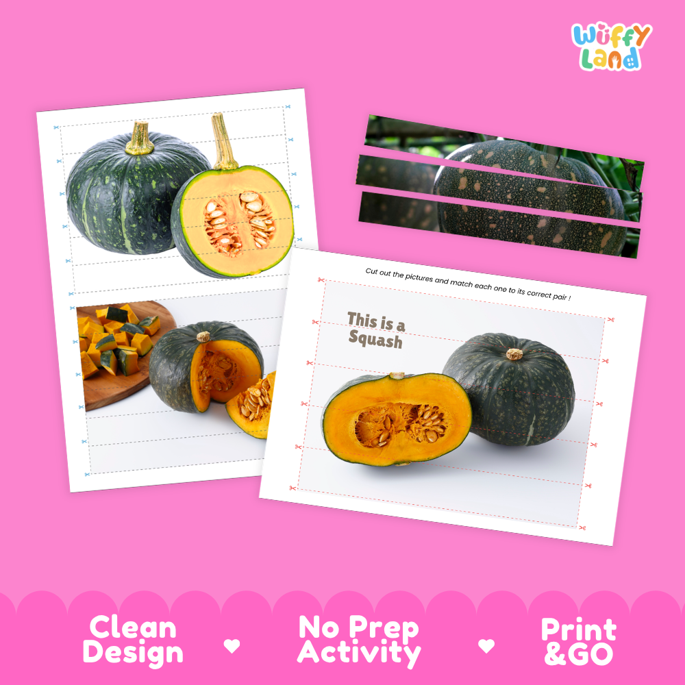 Clean design no prep print and go squash cut and match activity printable PDF pack