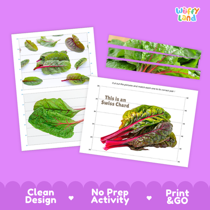 Clean design no prep print and go Swiss chard cut and match activity printable PDF pack