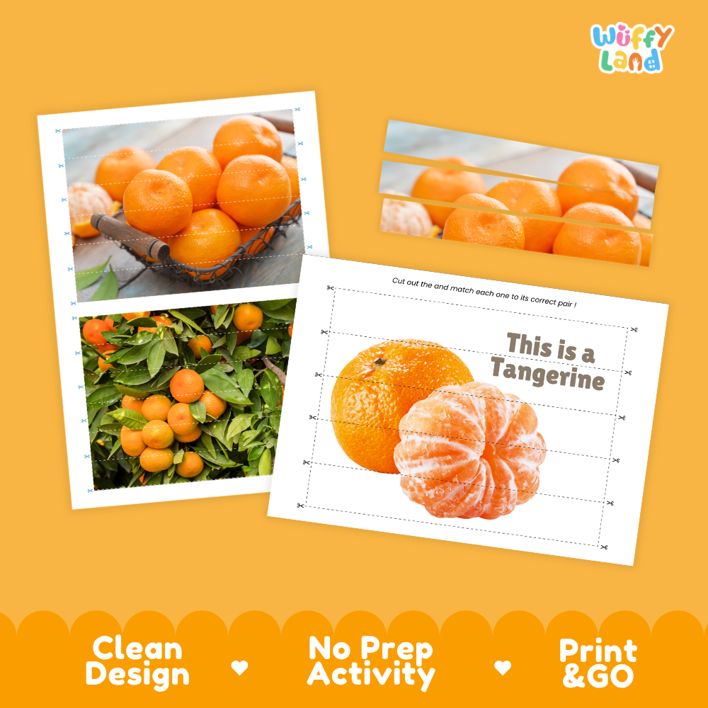 Clean design no prep print and go tangerine cut and match activity printable PDF pack