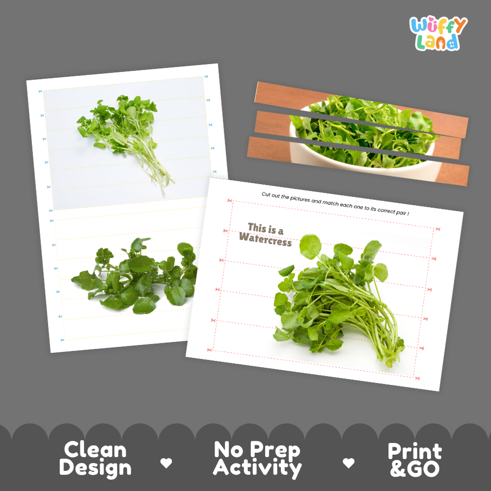 Clean design no prep print and go watercress cut and match activity printable PDF pack