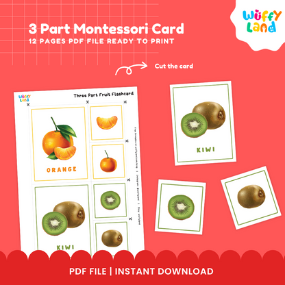 Set of 12 printable fruit classification 3-part cards arranged for early childhood Montessori shelves and preschool language centers 🏫✨