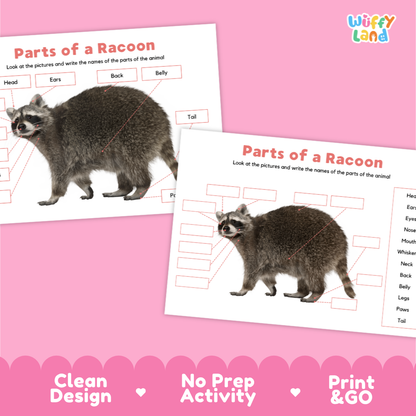Printable raccoon animal parts activity for preschool and elementary students with labeling, matching and cut and paste learning practice