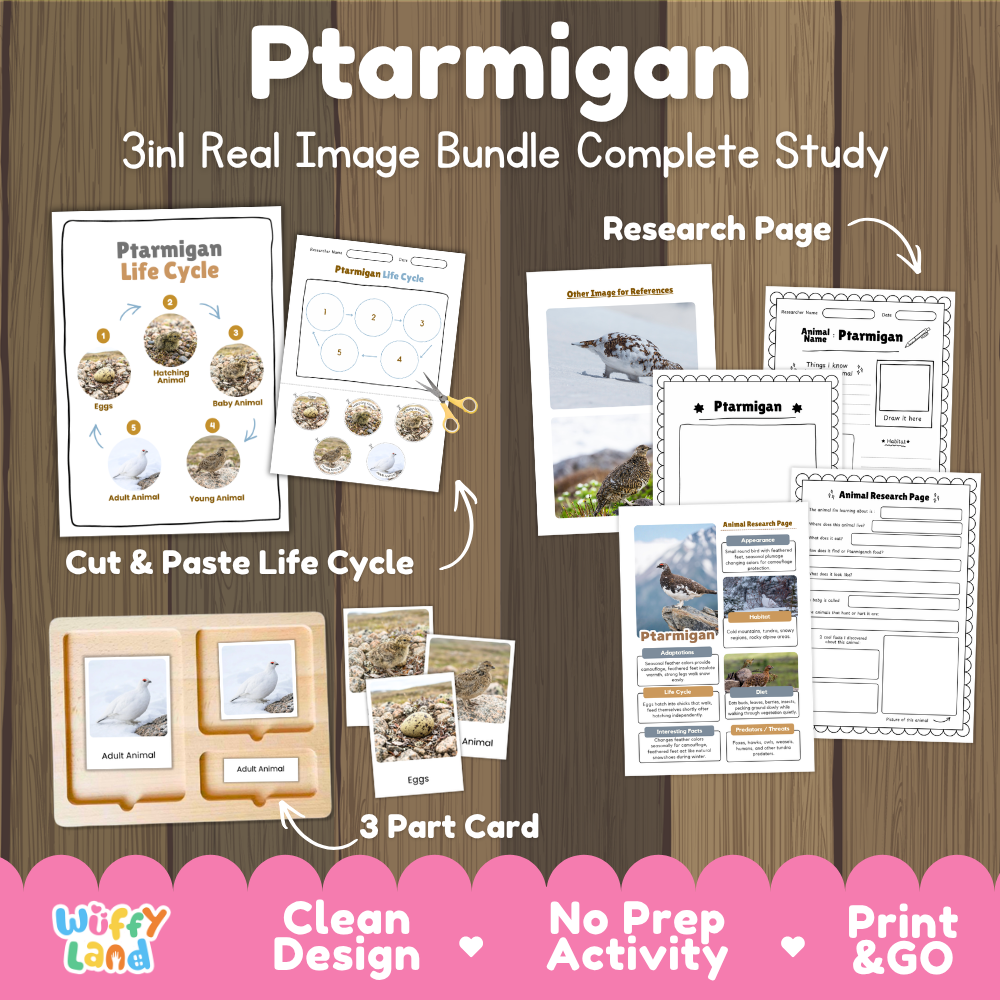 Ptarmigan 3-in-1 real image bundle complete study cover showing cut and paste life cycle, 3 part cards, and research pages
