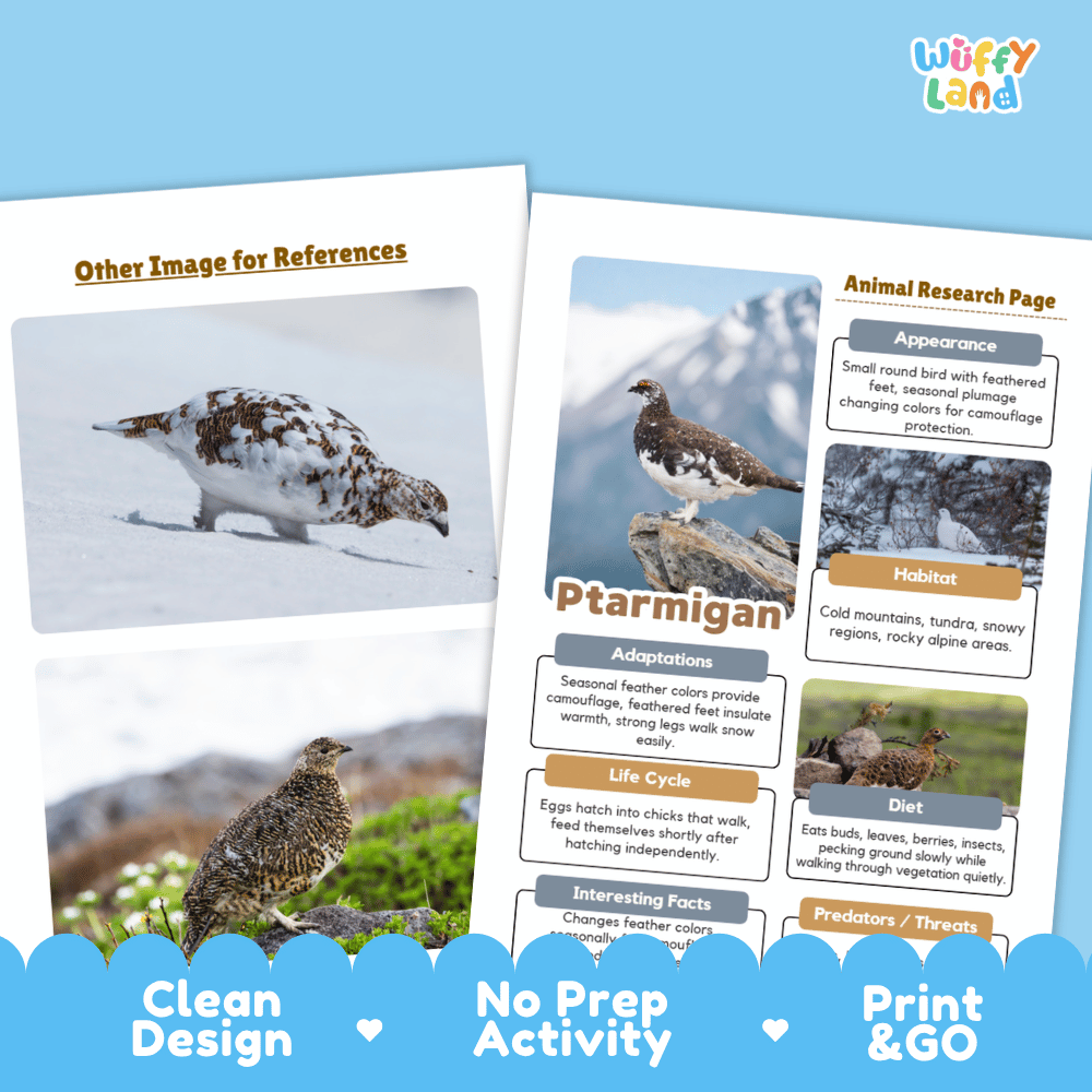 Ptarmigan Animal Research Worksheets and Informational Fact Sheets