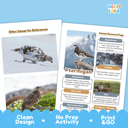 Ptarmigan Animal Research Worksheets and Informational Fact Sheets