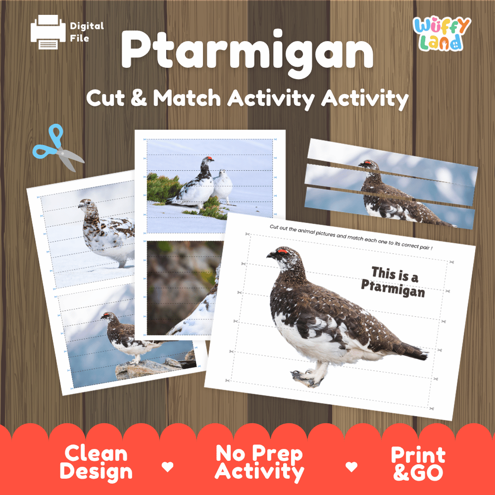 Ptarmigan Cut and Match Puzzle Activity Worksheets