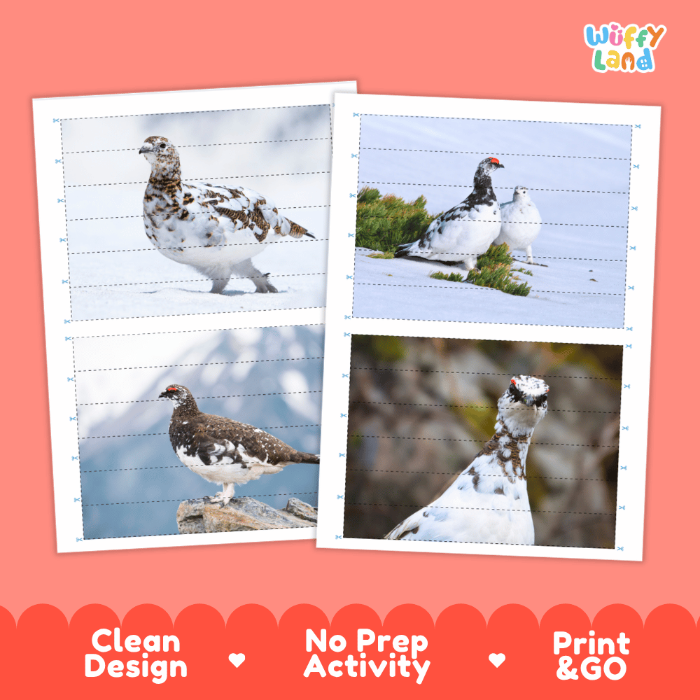 Ptarmigan Cut and Match Puzzle Activity Worksheets