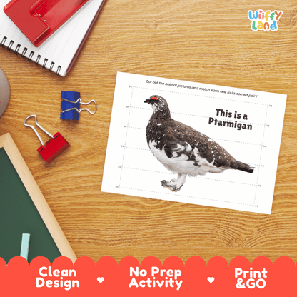 Ptarmigan Cut and Match Puzzle Activity Worksheets