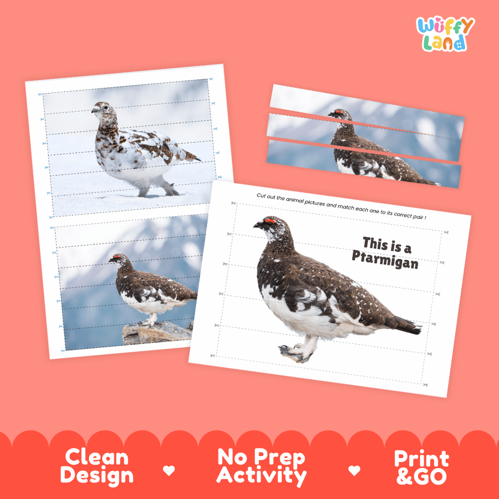 Ptarmigan Cut and Match Puzzle Activity Worksheets