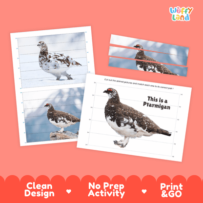 Ptarmigan Cut and Match Puzzle Activity Worksheets
