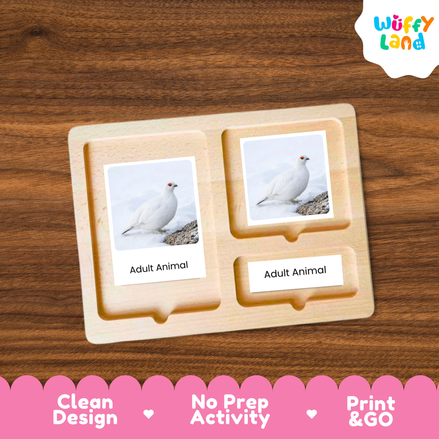 Ptarmigan Life Cycle Flashcards | Montessori 3 Part Cards Science Activity