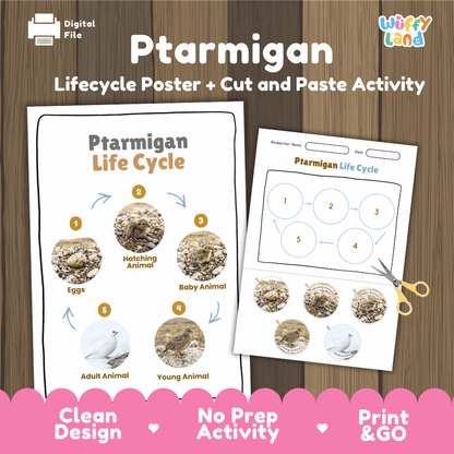Ptarmigan Life Cycle Poster and Cut and Paste Worksheet Activity