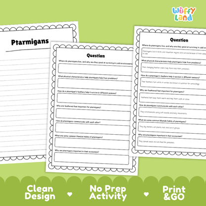 Three printable worksheet pages for a Ptermigan activity displayed on a light green background with promotional text reading 'Clean Design', 'No Prep Activity', and 'Print & GO'. The top right shows the 'wiffly land' brand logo.