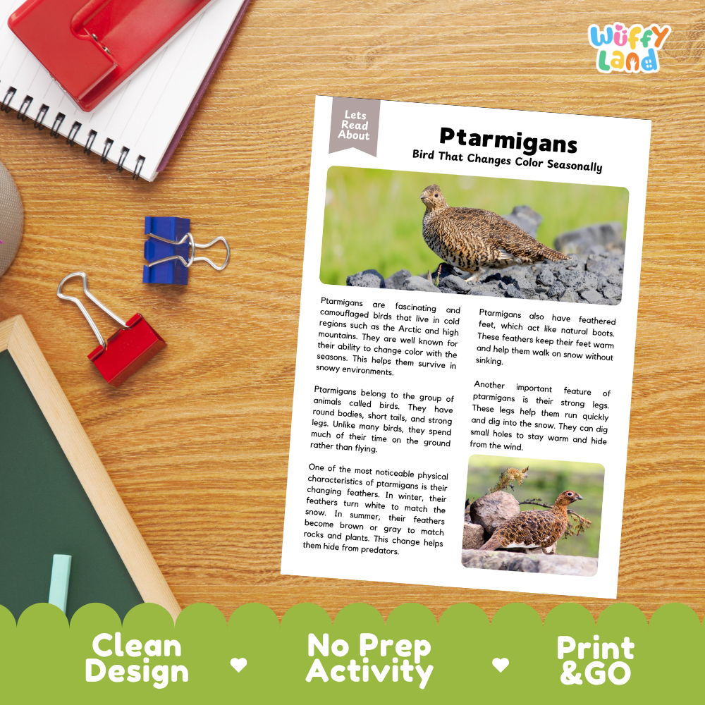 Ptarmigan Reading Passage and Questions Worksheets with Answer Key