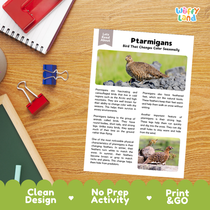 Ptarmigan Reading Passage and Questions Worksheets with Answer Key