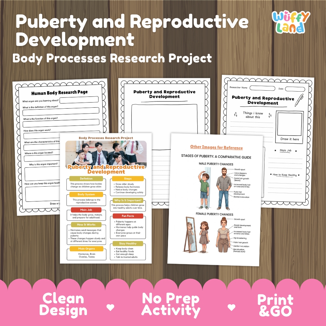 Printable educational activity sheets for a puberty and reproductive development research project, shown on a wood background with promotional text at the bottom. The set includes a human body research page, a puberty and reproductive development page, a body processes infographic, and a reference guide.
