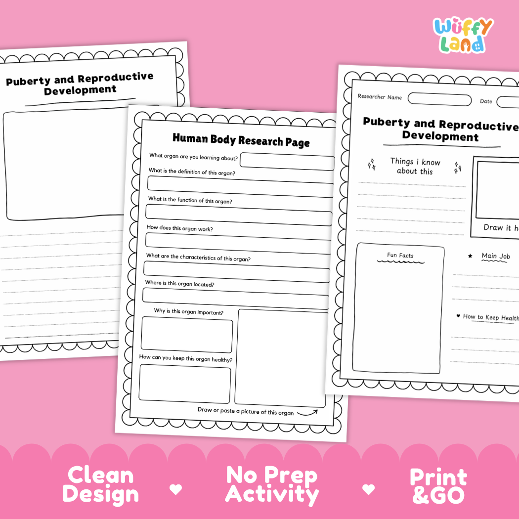 Three printable educational worksheet pages about human body research and puberty and reproductive development, shown on a pink background with the brand name Wiffi Land.