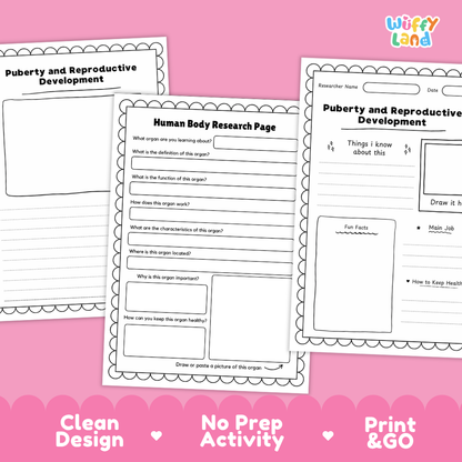 Three printable educational worksheet pages about human body research and puberty and reproductive development, shown on a pink background with the brand name Wiffi Land.