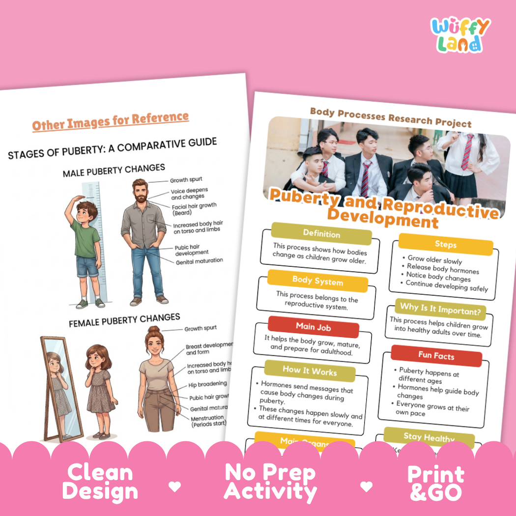 Two educational activity sheets from Wiffly Land about puberty and reproductive development, displayed on a white background with a pink decorative footer banner. The sheets feature diagrams, text boxes, and illustrations.