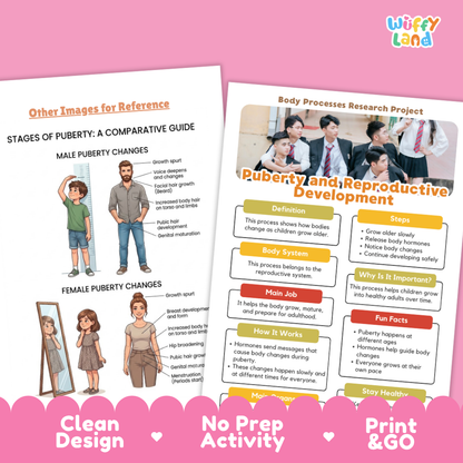 Two educational activity sheets from Wiffly Land about puberty and reproductive development, displayed on a white background with a pink decorative footer banner. The sheets feature diagrams, text boxes, and illustrations.