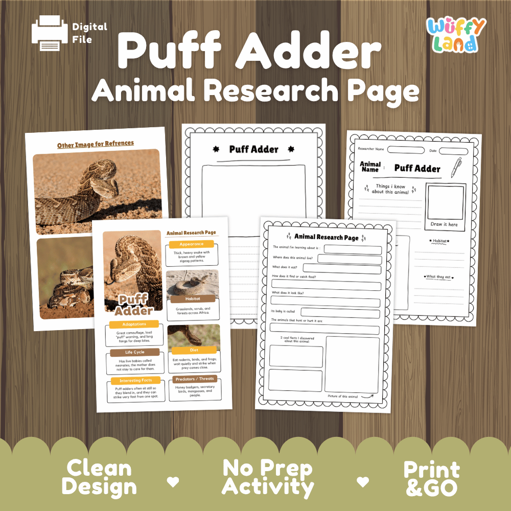 Puff Adder Animal Research Page Graphic Organizers and Worksheets