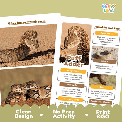 Two printed educational poster sheets about a rattlesnake displayed on a beige background with a decorative green top and bottom border. The sheets include labeled sections such as Appearance, Habitat, Adaptations, Life Cycle, Diet, and Interesting Facts, with a large photo of a rattlesnake and the title 'Puff Adder.