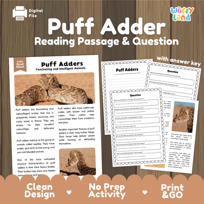 Puff Adder Reading Passage and Comprehension Questions Worksheets