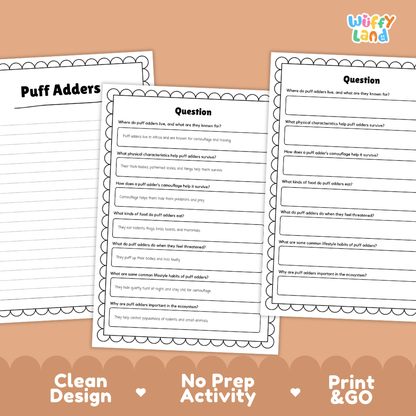 Puff Adder Reading Passage and Comprehension Questions Worksheets
