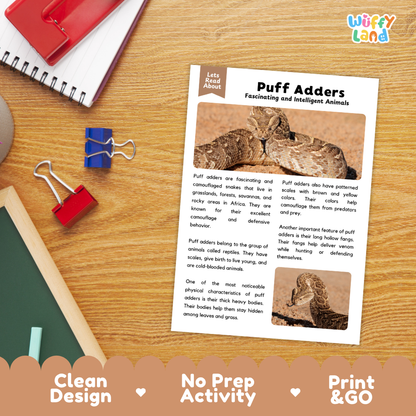 Puff Adder Reading Passage and Comprehension Questions Worksheets