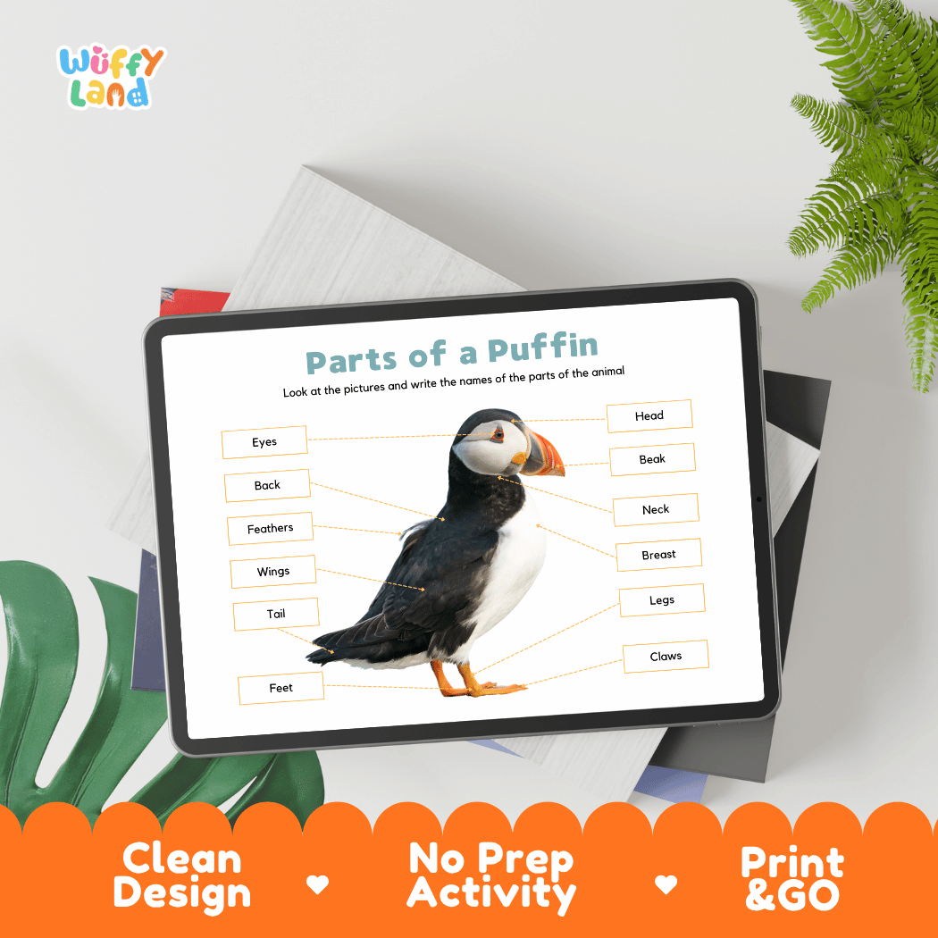 Hands-on puffin anatomy cut and paste worksheet with printable word tags, callout pointer lines, and scissors graphic