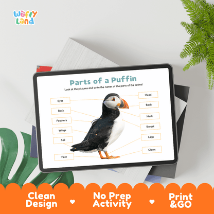 Hands-on puffin anatomy cut and paste worksheet with printable word tags, callout pointer lines, and scissors graphic