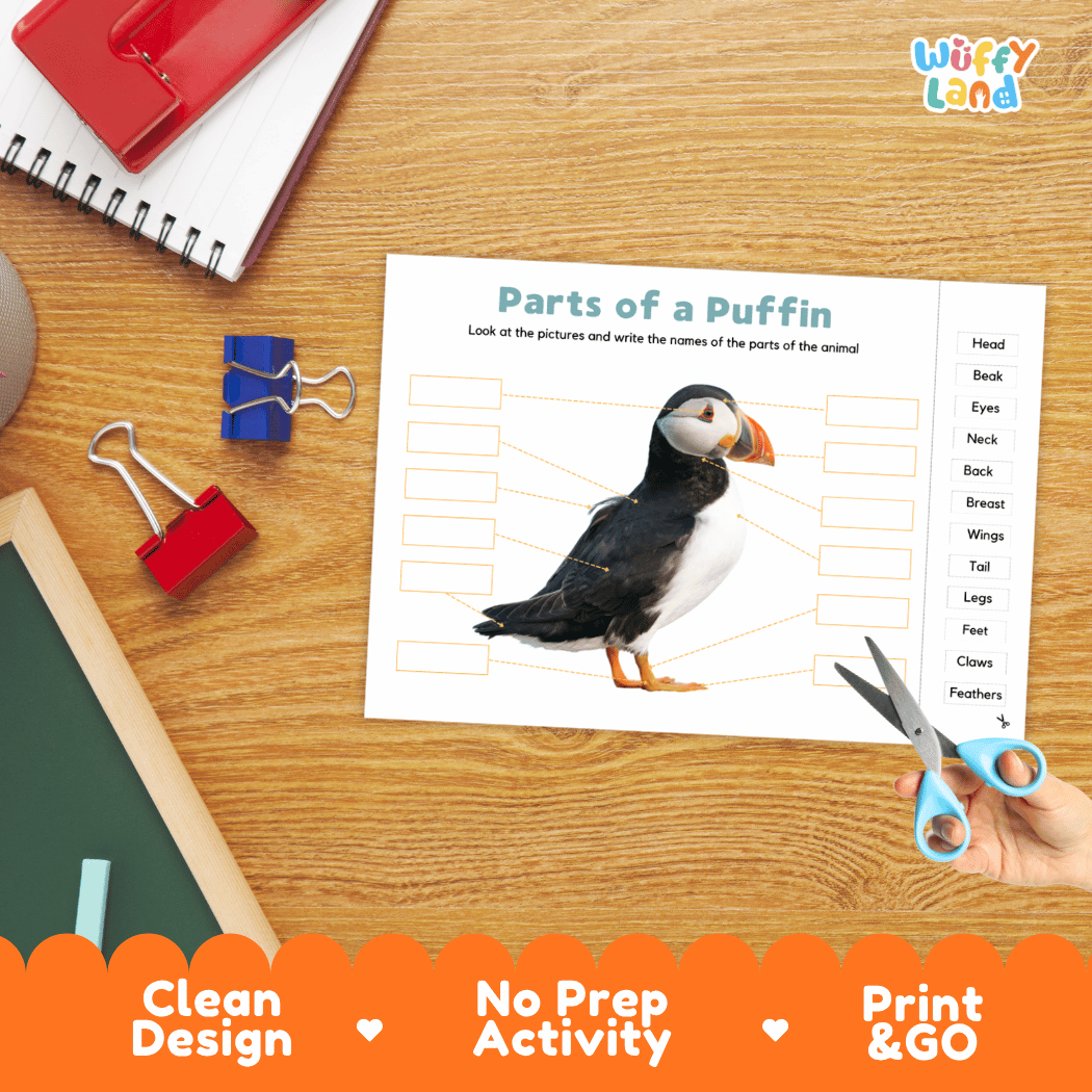 Differentiated puffin body parts labeling worksheets featuring fill-in write-in boxes and vocabulary word bank