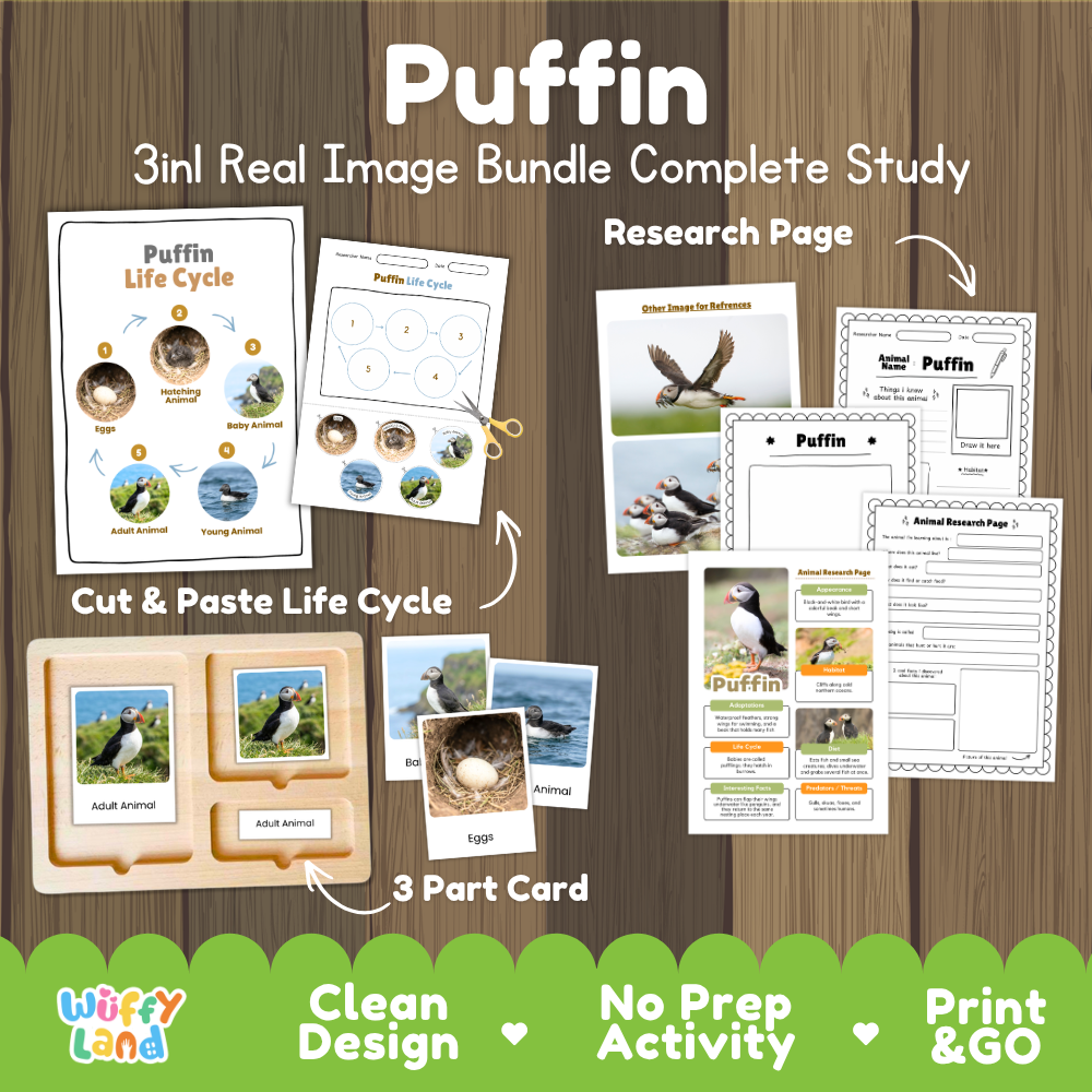 Puffin 3-in-1 real image bundle complete study cover showing cut and paste life cycle, 3 part cards, and research pages