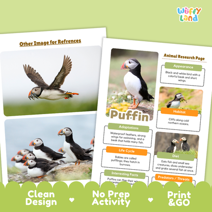 Educational puffin activity sheet and reference image card set by Wiffy Land, featuring a printed animal research page with labeled sections and a reference photo card on a light green background.