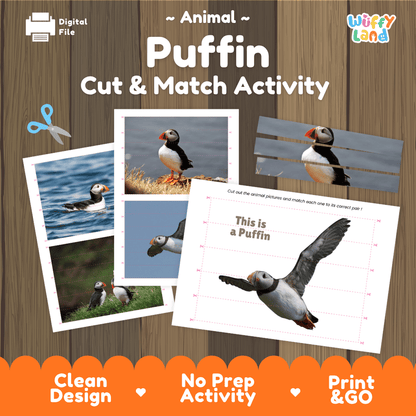 Puffin Cut and Match Activity Printables Worksheets