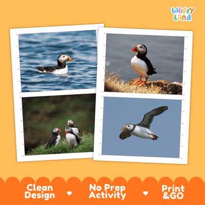 Puffin Cut and Match Activity Printables Worksheets