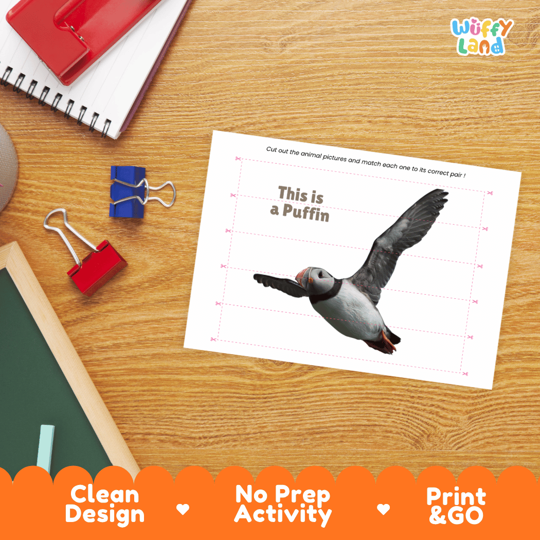 Puffin Cut and Match Activity Printables Worksheets