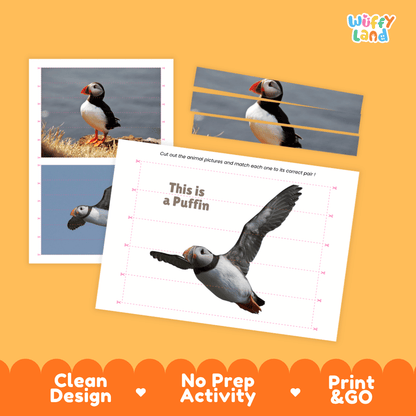 Puffin Cut and Match Activity Printables Worksheets