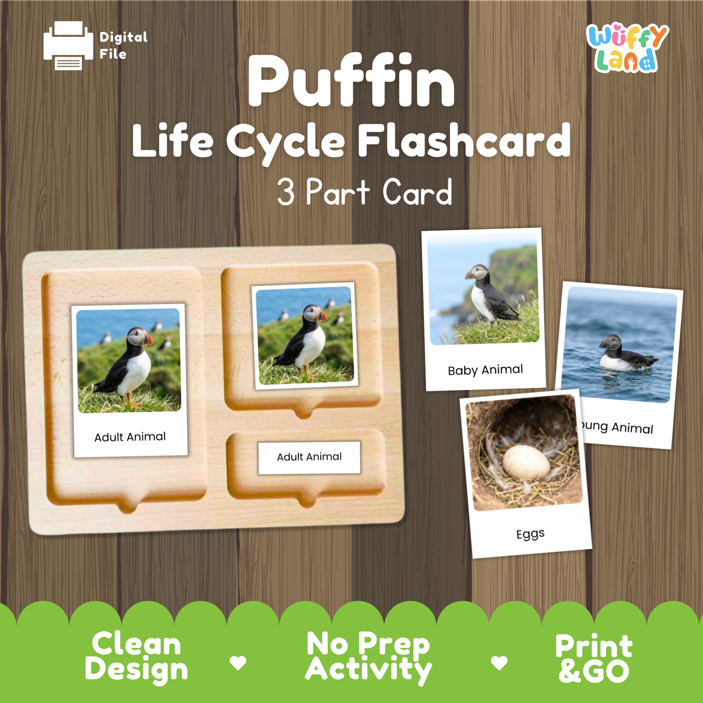 Puffin Life Cycle Flashcards | Montessori 3 Part Cards Science Activity