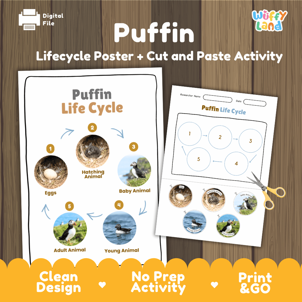 Puffin Life Cycle Poster and Cut and Paste Worksheet Activity