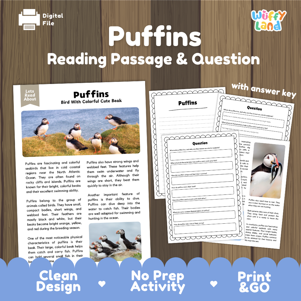 Puffins Reading Passage and Questions Worksheets with Answer Key