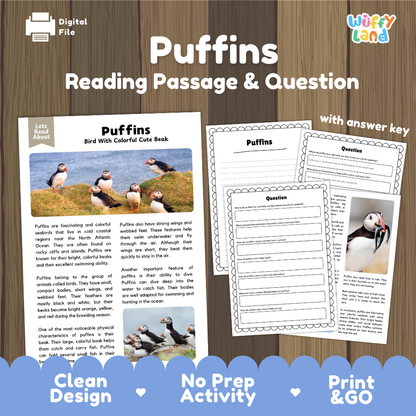 Puffins Reading Passage and Questions Worksheets with Answer Key