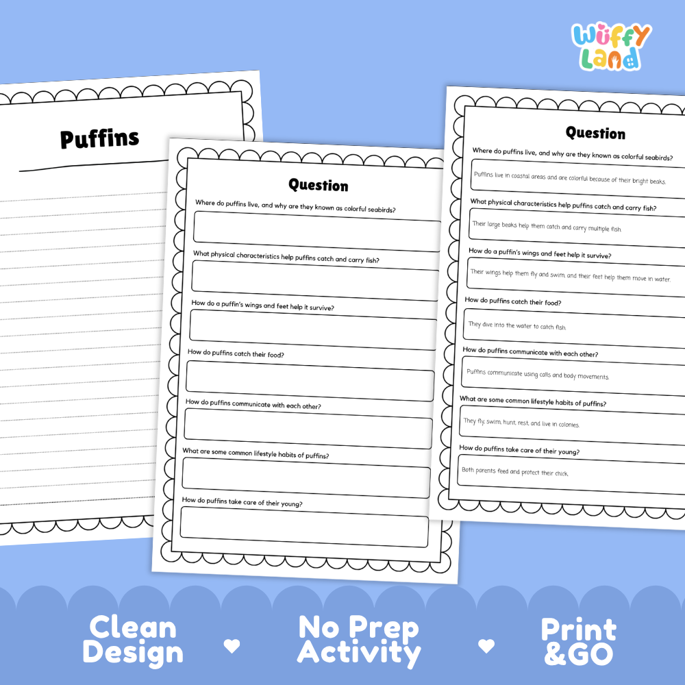 Puffins Reading Passage and Questions Worksheets with Answer Key